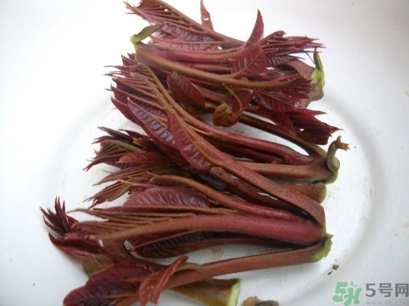香椿好吃嗎？香椿可以做菜嗎？