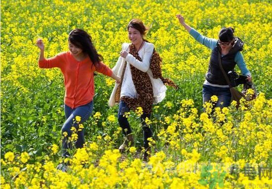 清明節(jié)的習(xí)俗有哪些？清明節(jié)吃什么？