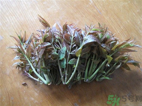 香椿怎么吃才安全？吃香椿的最佳時間是什么時候？