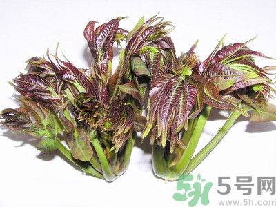 吃香椿有什么好處？香椿可以預防疾病嗎？