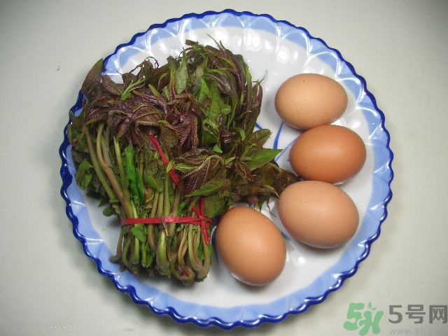 怎么挑選香椿呢？挑選香椿的小竅門？