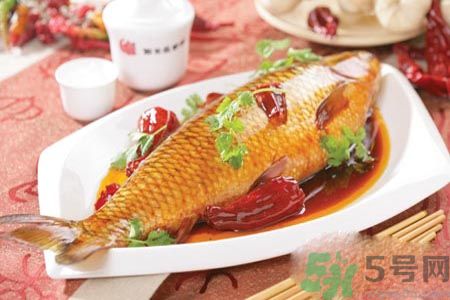 怎么挑選魚？挑魚的技巧有哪些？