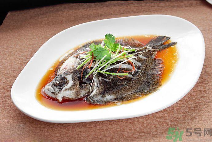 怎么挑選魚？挑魚的技巧有哪些？