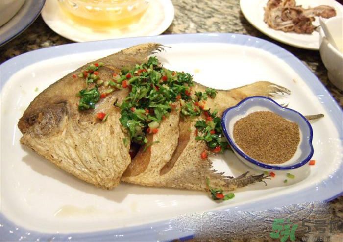 怎么挑選魚？挑魚的技巧有哪些？