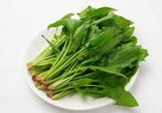 韭菜和菠菜能一起吃嗎?一起吃有什么營(yíng)養(yǎng)價(jià)值