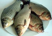 怎么挑選魚？挑魚的技巧有哪些？