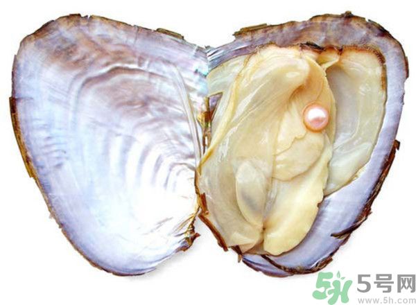 河蚌什么時(shí)候吃最好？吃河蚌有什么好處？