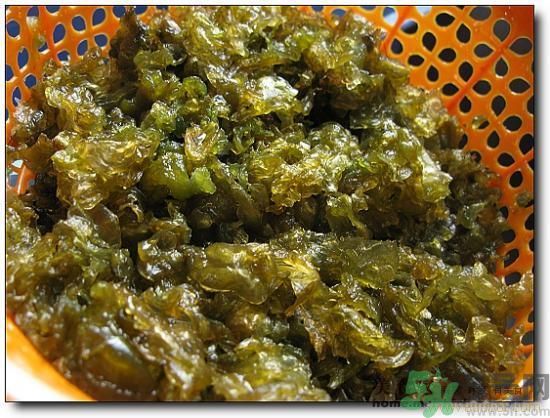 地皮菜怎么清洗干凈？怎樣洗地皮菜？