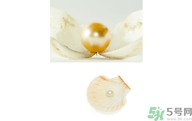 河蚌怎么炒才不會老？炒河蚌要注意什么？