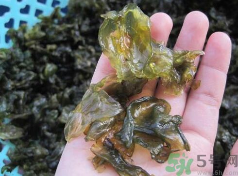 地皮菜孕婦能吃嗎？地皮菜孕婦吃好嗎？