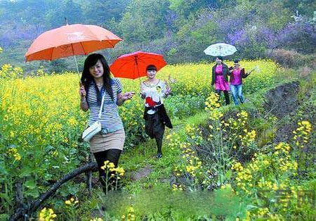 清明節(jié)為什么要踏青？清明節(jié)踏青有什么好處？