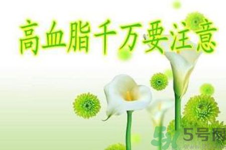 高血脂會頭暈嗎？高血脂會引起高血壓嗎？