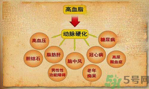 高血脂會頭暈嗎？高血脂會引起高血壓嗎？