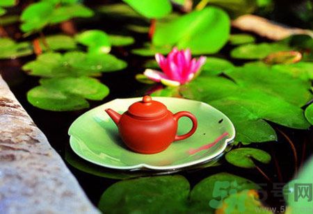 降血脂的茶有哪些？什么茶可以降血脂？