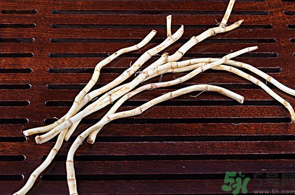 魚腥草能泡水喝嗎？魚腥草泡水喝有什么功效？