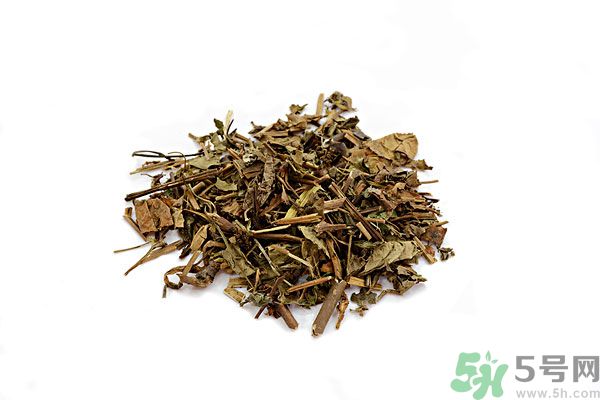 魚腥草能泡水喝嗎？魚腥草泡水喝有什么功效？