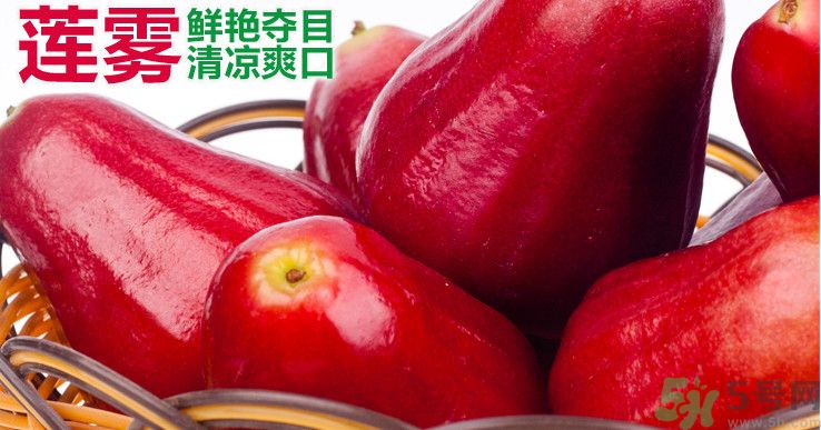 咳嗽能吃蓮霧嗎？蓮霧咳嗽可以吃嗎？