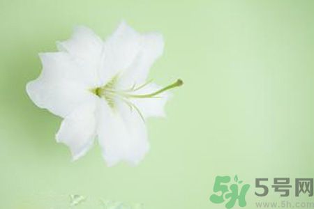 春季咳嗽怎么辦？春季咳嗽吃什么好？