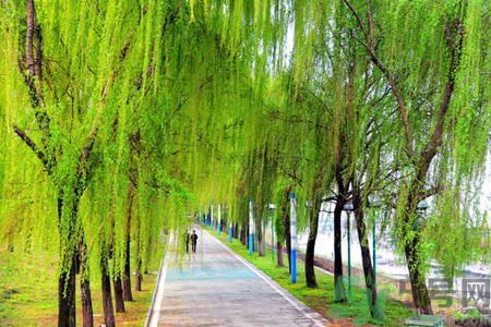 春天適合什么運(yùn)動？春天做什么運(yùn)動好？