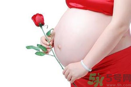 孕婦可以吃枸杞嗎？孕婦吃枸杞好嗎？