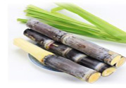 清明節(jié)可以吃甘蔗嗎？清明節(jié)不能吃哪些食物？