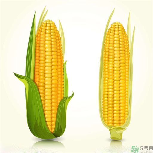 糖尿病可以吃玉米嗎？糖尿病吃玉米好嗎？