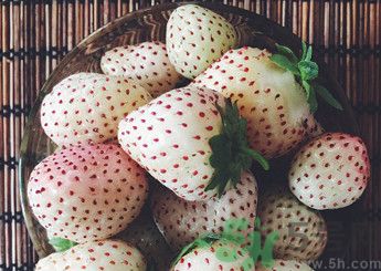 菠蘿莓好吃嗎？菠蘿莓好不好吃？