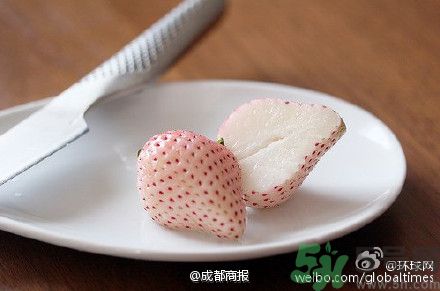 菠蘿莓好吃嗎？菠蘿莓好不好吃？