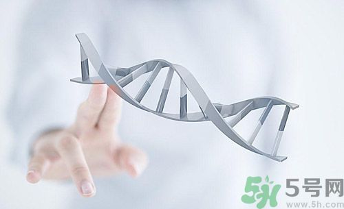 糖尿病會遺傳嗎？糖尿病會遺傳給胎兒嗎？