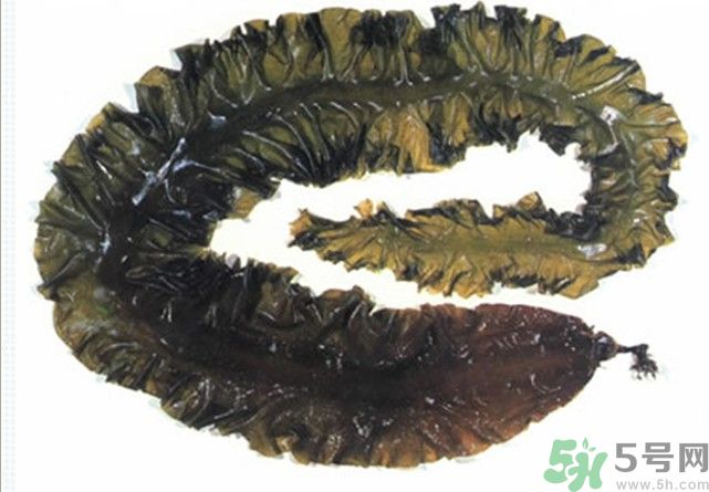 海帶用冷水泡還是熱水泡發(fā)？海帶怎么泡才不會發(fā)硬？