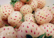 菠蘿莓孕婦能吃嗎？菠蘿莓懷孕可以吃嗎？