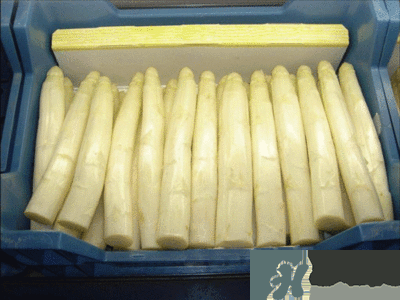 吃蘆筍注意事項(xiàng)有哪些？蘆筍有什么藥用功效？