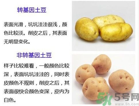 土豆變綠還能吃嗎？土豆變綠有什么危害？