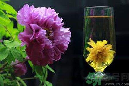 牡丹花可以和菊花一起泡嗎？牡丹花和菊花一起泡茶好嗎？