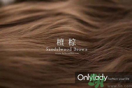 九大染發(fā)色系有哪些？哪種染發(fā)色系最適合女生？