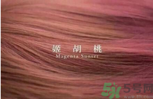 九大色系染發(fā)要怎么選擇？九大色系染發(fā)有什么要求？