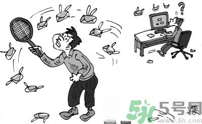 1分鐘被騙334萬(wàn) 釣魚郵件內(nèi)容是什么？