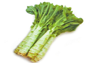 萵筍可以和芹菜一起炒嗎？萵筍和芹菜一起炒好嗎？
