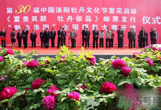 洛陽牡丹文化節(jié)活動有哪些？洛陽牡丹文化節(jié)門票是多少？