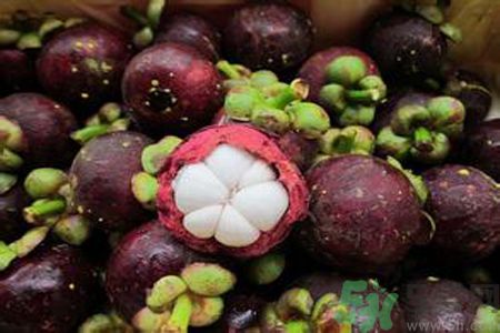 山竹可以和牛奶一起吃嗎？山竹和牛奶一起吃好嗎？