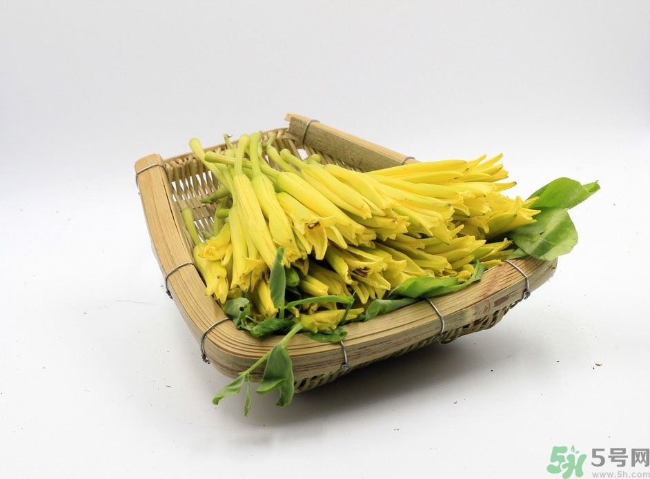 黃花菜可以治療抑郁癥嗎？兩噸黃花菜治好了抑郁癥是真的嗎？