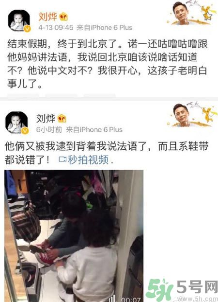 諾一雪梨是誰？為什么叫諾一雪梨？