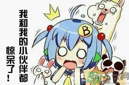 自創(chuàng)職業(yè)逗悶師是做什么的？自創(chuàng)職業(yè)逗悶師工資多少？