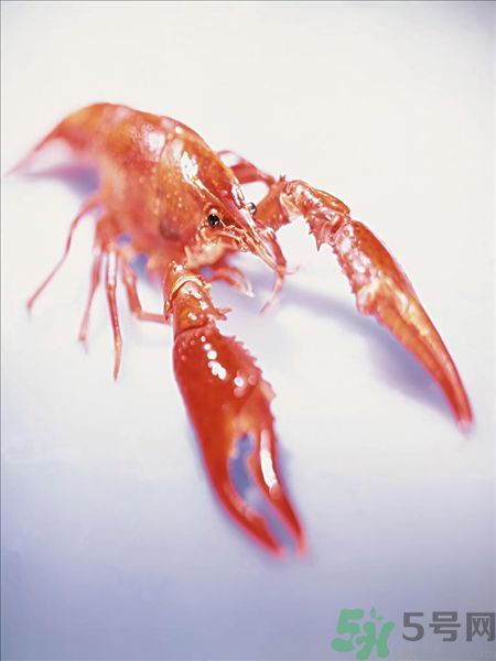 油燜大蝦為什么肉散了？油燜大蝦怎么做肉不散？