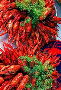油燜大蝦用的是什么蝦？油燜大蝦用什么蝦最好？