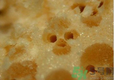 經(jīng)常用一次性筷子可以嗎？一次性筷子有病毒嗎？