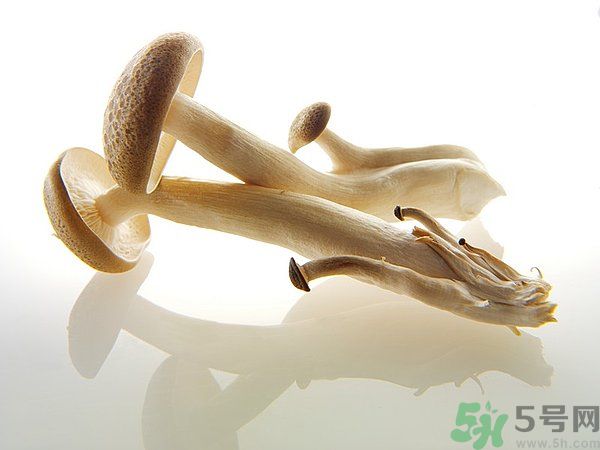 菇類(lèi)的營(yíng)養(yǎng)價(jià)值有哪些？怎樣挑選優(yōu)質(zhì)的菇類(lèi)？