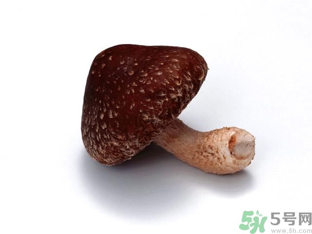 西紅柿發(fā)青可以吃嗎？青西紅柿吃了好不好？