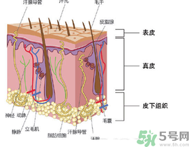 為什么頭發(fā)越來越油？頭發(fā)應(yīng)該幾天洗一次？