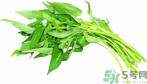空心菜和雞能一起吃嗎？空心菜怎么吃有營(yíng)養(yǎng)？